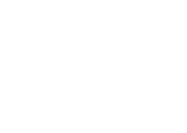 Stadt Dresden
