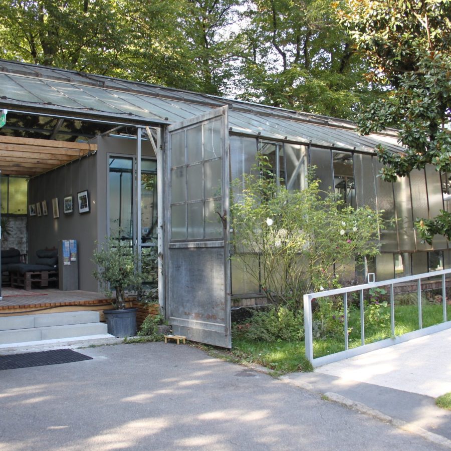 c Sarah Youssef OT 2