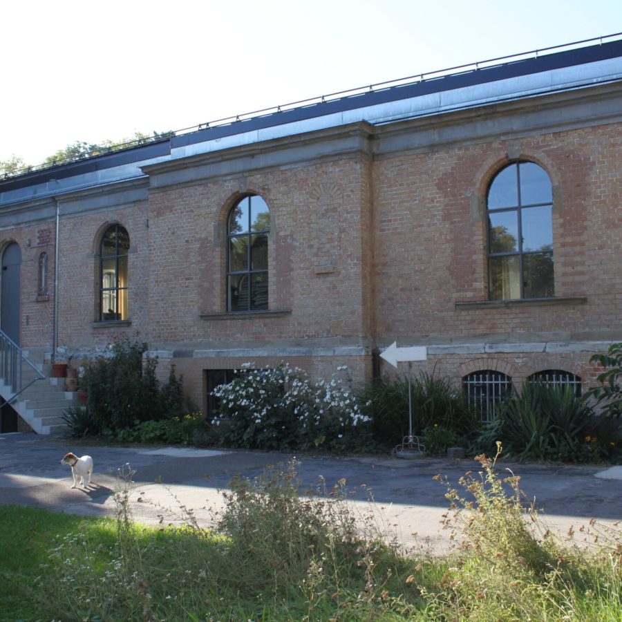 c Sarah Youssef OT 3